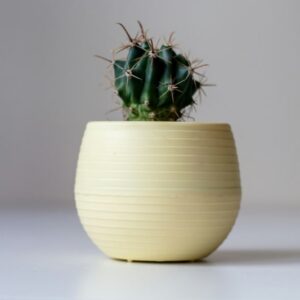 Premium Modern Ceramic Pot – White