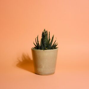 Decorative Terracotta Urn – Small